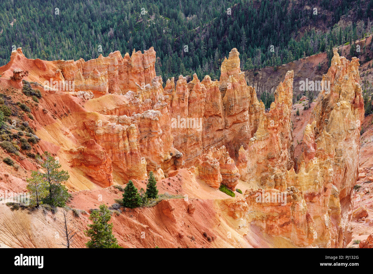 Incantevole paesaggio minerale di colore arancione e rosso Camini di Fata o hoodoos, nel Parco Nazionale di Bryce Canyon, Utah, USA., Foto Stock