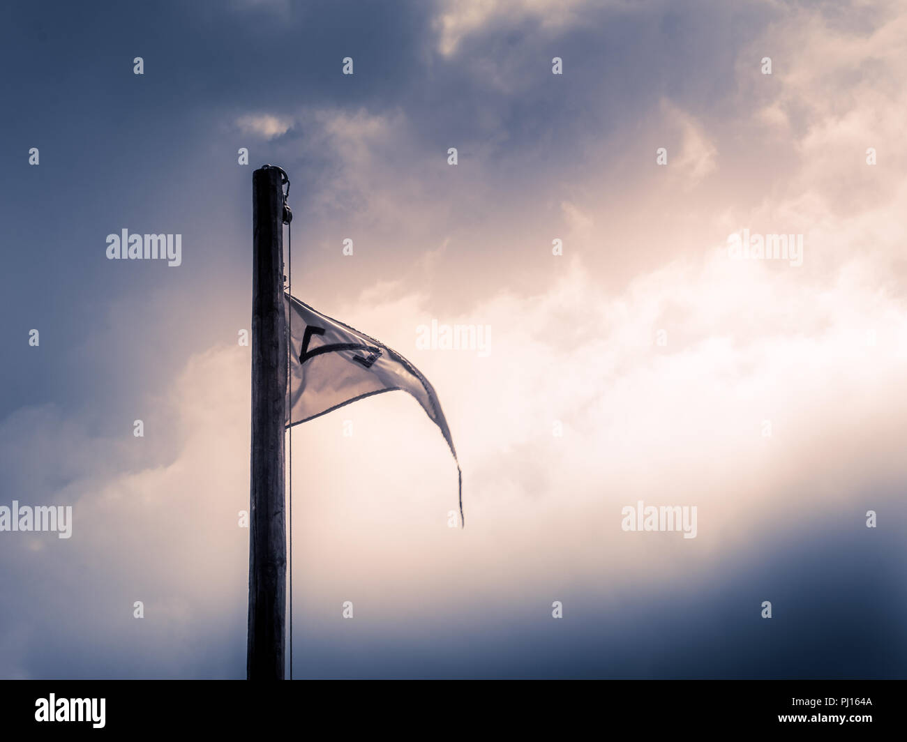 Bandiera Vichinga 3x5 Piedi, Design Corvo Rosso E Nero Poliestere 100d Per Esterni E - Foto 2