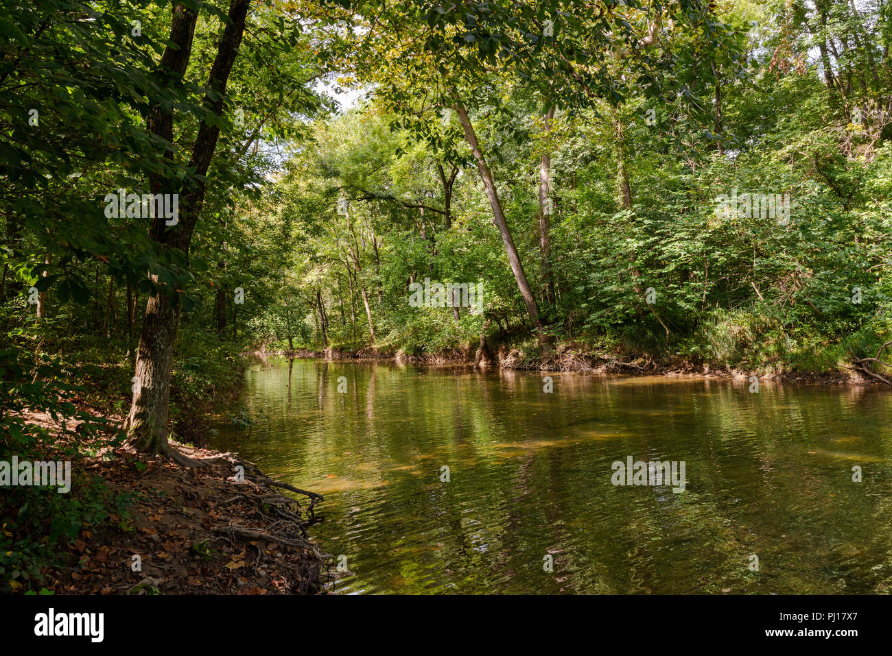 L'alberato rive del fiume Shenandoah su un caldo giorno d'estate. Foto Stock