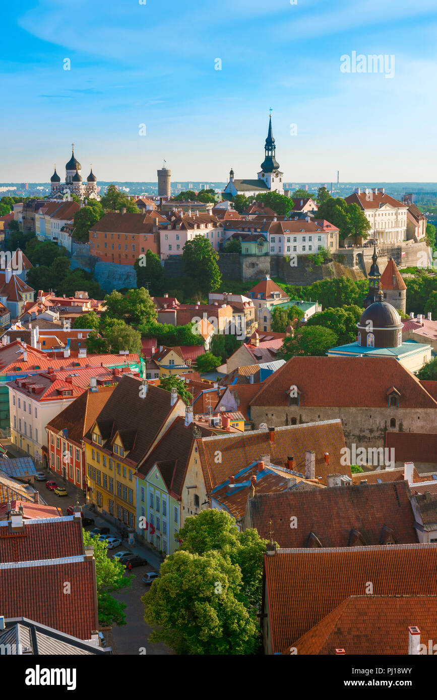 Città vecchia di Tallinn, vista attraverso i tetti panoramici del quartiere medievale della Città Vecchia nel centro della città verso la collina di Toompea, Tallinn, Estonia. Foto Stock