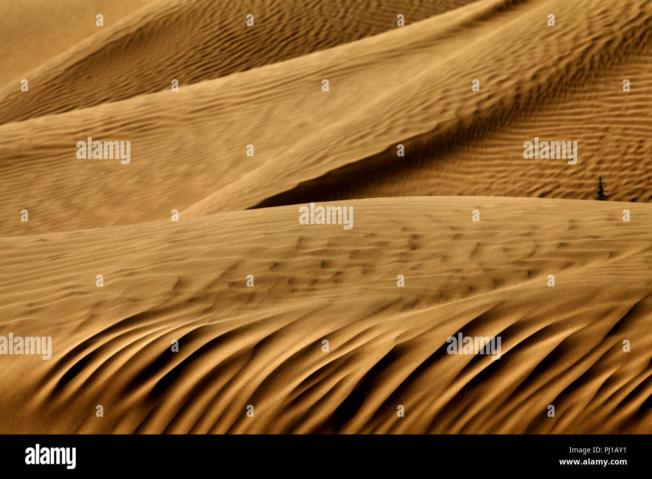 Close-up di dune di sabbia nel deserto, Riyadh, Arabia Saudita Foto Stock