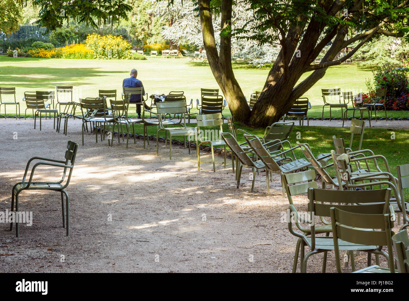 Un uomo solo lettura, seduti all'ombra su un prato di metallo sedia nel giardino del Lussemburgo a Parigi, Francia, con sedi sparse lungo i vicoli. Foto Stock