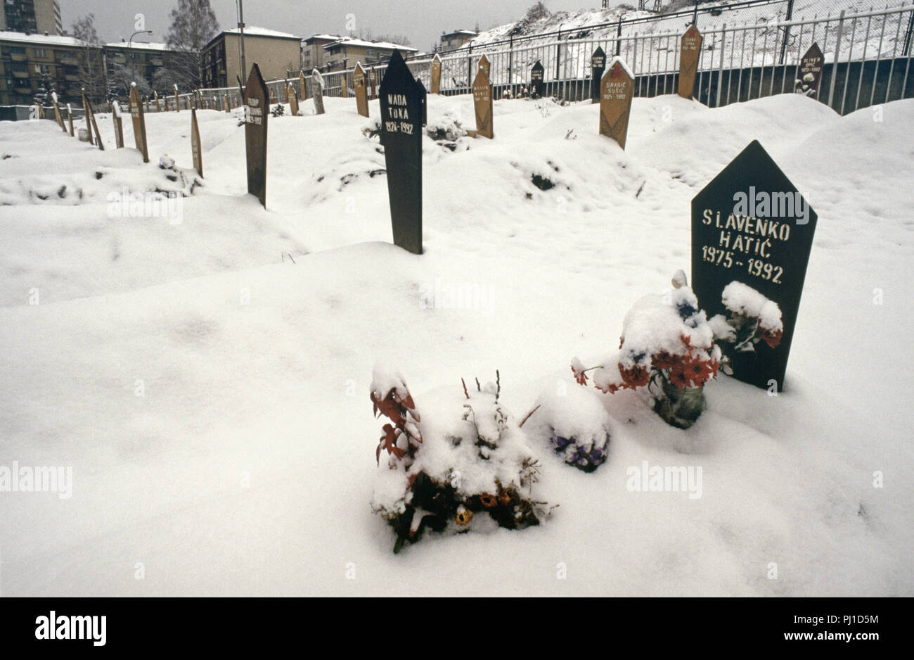 4 Marzo 1993 durante l'assedio di Sarajevo: fiori, soffocato con neve, contrassegnare la tomba di un diciassette anno-vecchio ragazzo in un angolo del cimitero di Lion, appena al di sotto dell'Ospedale Kosevo. Foto Stock