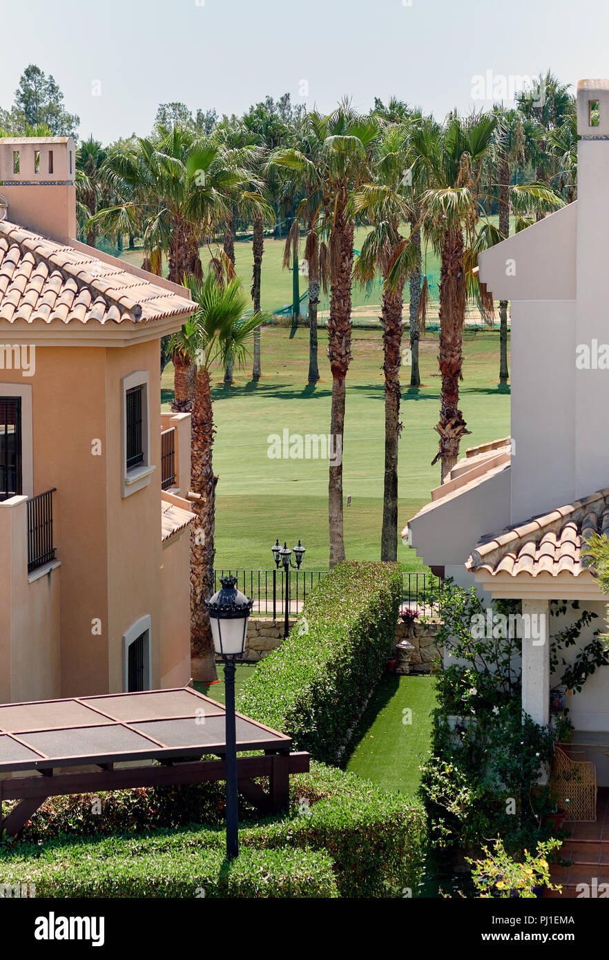 Tipico spagnolo campi da golf, prati. Verde di prati, palme e il lago per il golf sport. Area verde, clima tropicale e vacanze ville. idilliaco sunny Foto Stock