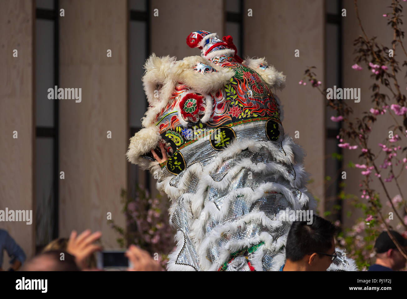 Berlino - Aprile 15, 2018: Sakura fioritura giorno. Parco 'giardini del mondo' (Gaerten der Welt). Dragon dance. Arte Cinese tradizionale. Foto Stock