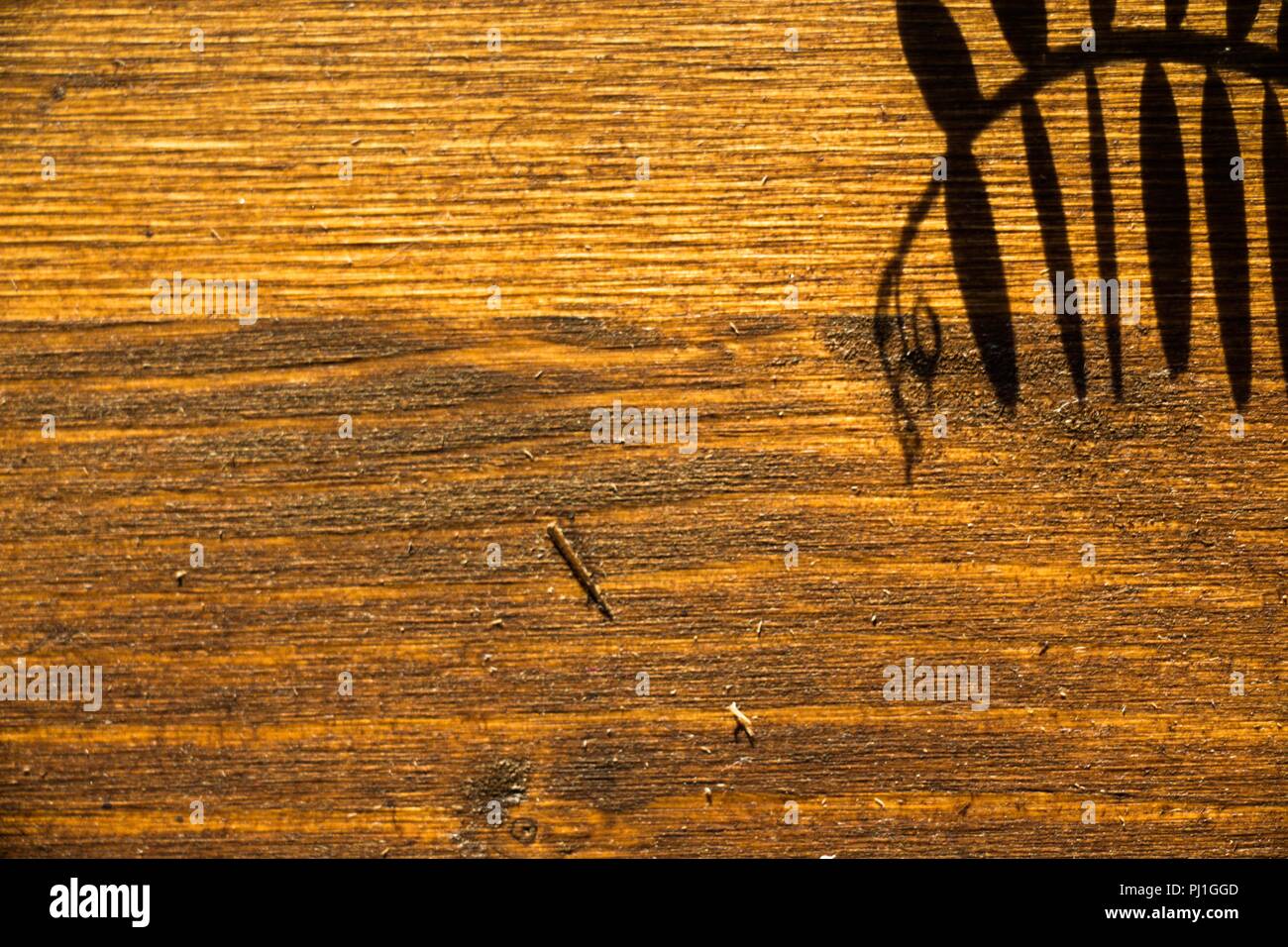 Sulla superficie di legno di una tonalità marrone, le foglie della pianta che getta un ombra. L'ombra cade in un bellissimo modello che dà interesse. Foto Stock