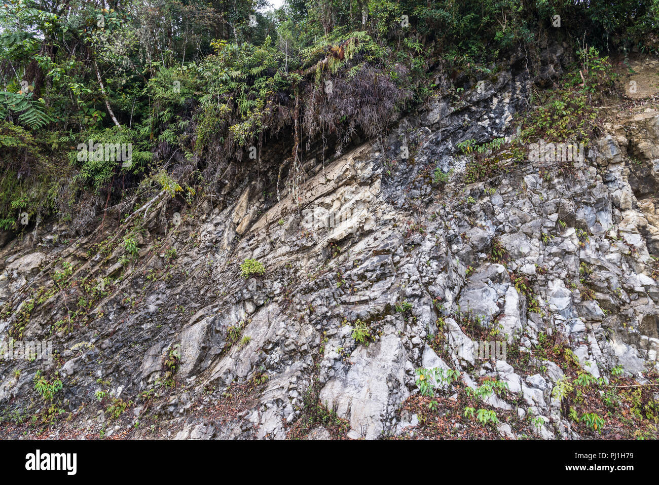 Affioramenti di pietra arenaria in montagna di neve, gamma centrale, Papua, Indonesia. Foto Stock