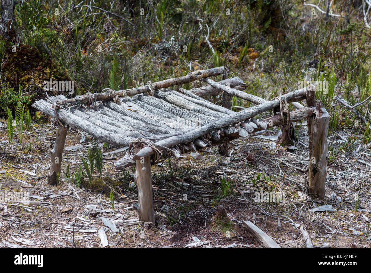 Una tabella di cambio locali utilizzare nelle montagne dell'altopiano centrale. Papua, Indonesia. Foto Stock