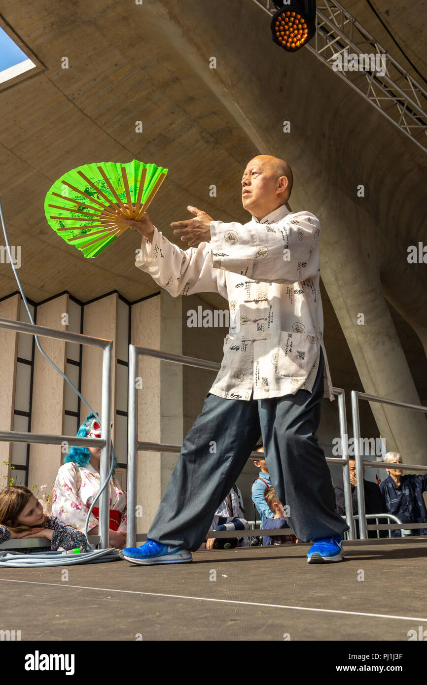 Berlino - Aprile 15, 2018: Sakura fioritura giorno. Parco 'giardini del mondo' (Gaerten der Welt). Dimostrazione della Sanità cinese ginnastica tai chi. Foto Stock