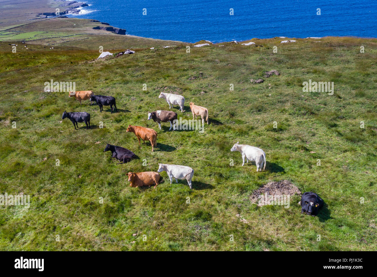 Vista aerea dell' isola Valentia, nella contea di Kerry, Irlanda Foto Stock