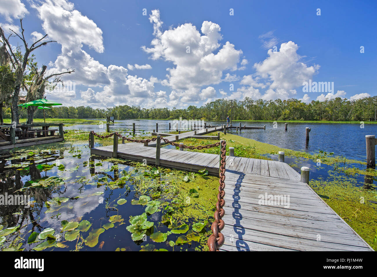 Clarks Fish Camp è un esclusivo e rustico ristorante di pesce si trova sul Julington Creek, un affluente del fiume del St Johns a Jacksonville, in Florida. Foto Stock