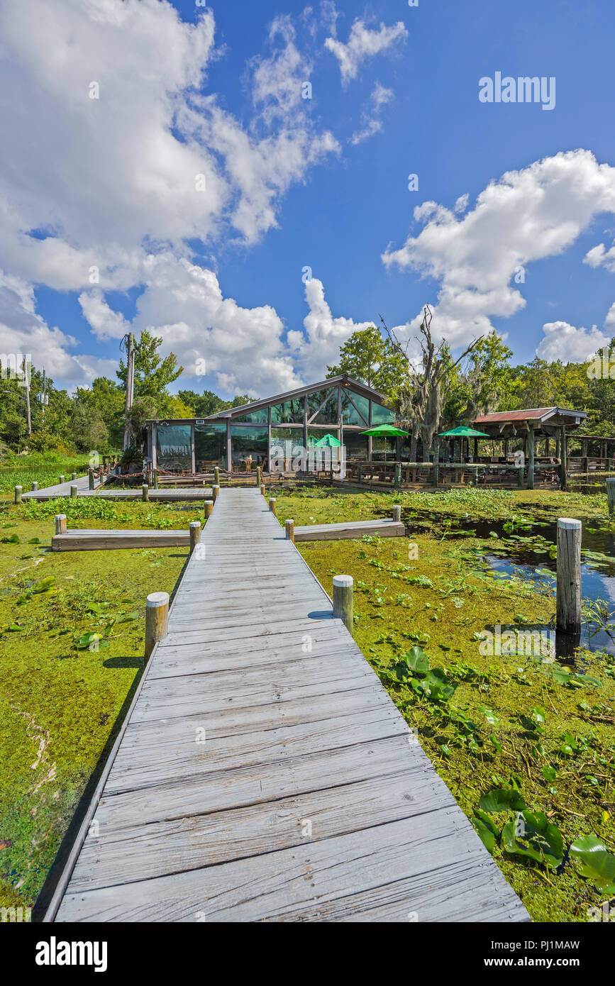 Clarks Fish Camp è un esclusivo e rustico ristorante di pesce si trova sul Julington Creek, un affluente del fiume del St Johns a Jacksonville, in Florida. Foto Stock