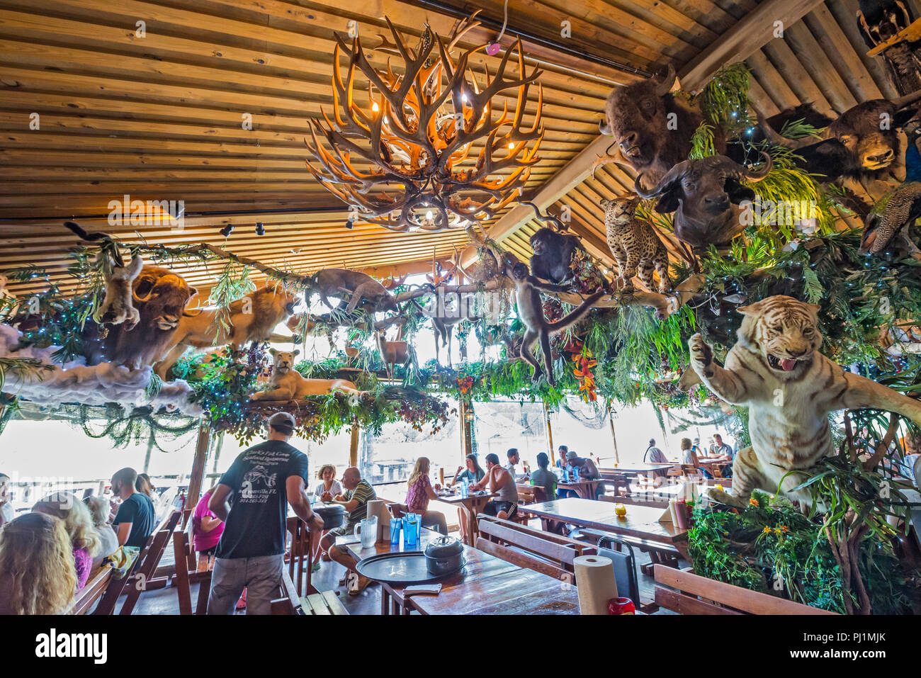 Clarks Fish Camp è un esclusivo e rustico ristorante di pesce si trova sul Julington Creek, un affluente del fiume del St Johns a Jacksonville, in Florida. Foto Stock