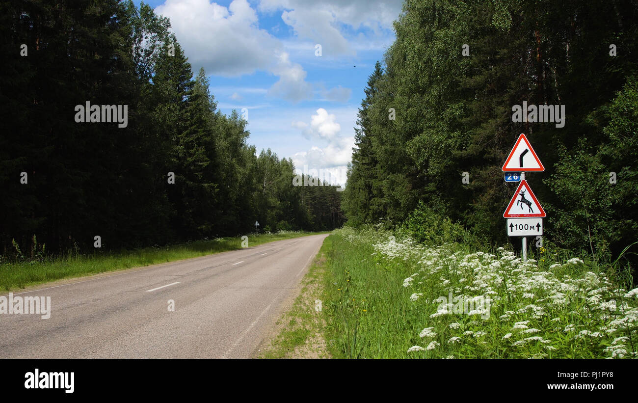 Cartello stradale di avvertimento del pericolo di curva a destra e segno di attraversamento di cervi sull'autostrada nella foresta. Cartello stradale foresta selvaggia animali su strada. Foto Stock