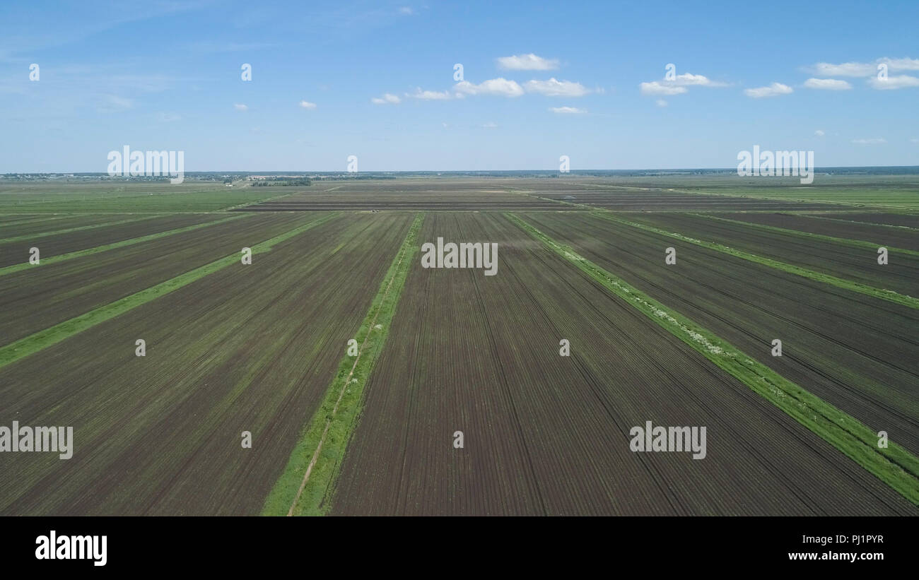 Vista aerea di prodotti agricoli e campi coltivati. Il paesaggio agricolo righe. Terreni agricoli irrigati. Campagna con campi di colture. Foto Stock