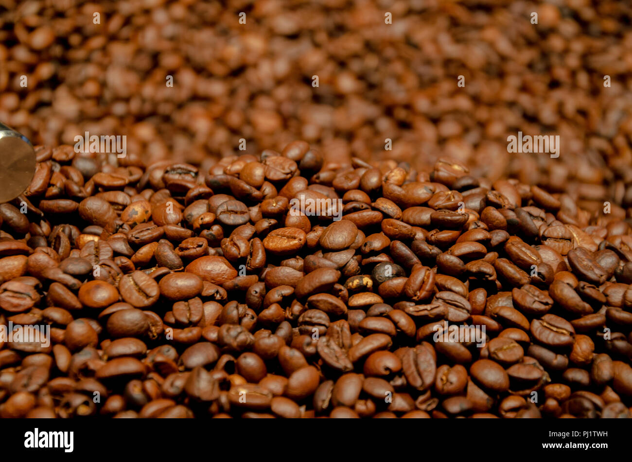 Chicchi di caffè tostati su sfondo sfocato Foto Stock
