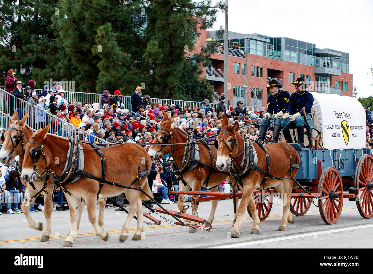 Cavallo e carro dell'esercito degli Stati Uniti, 1° cavalleria, di Fort Hood in Texas, 2017 Torneo di Rose Parade, Rose Parade di Pasadena, California, Stati Uniti d'America Foto Stock