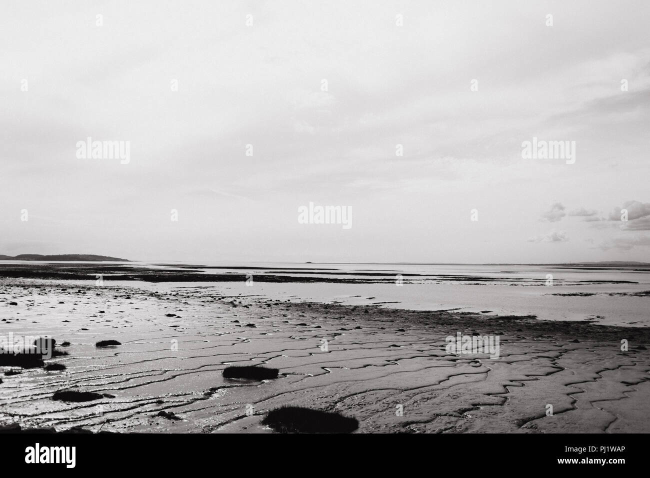 Severn Estuary velme (sul lato inglese) a bassa marea in bianco e nero Foto Stock