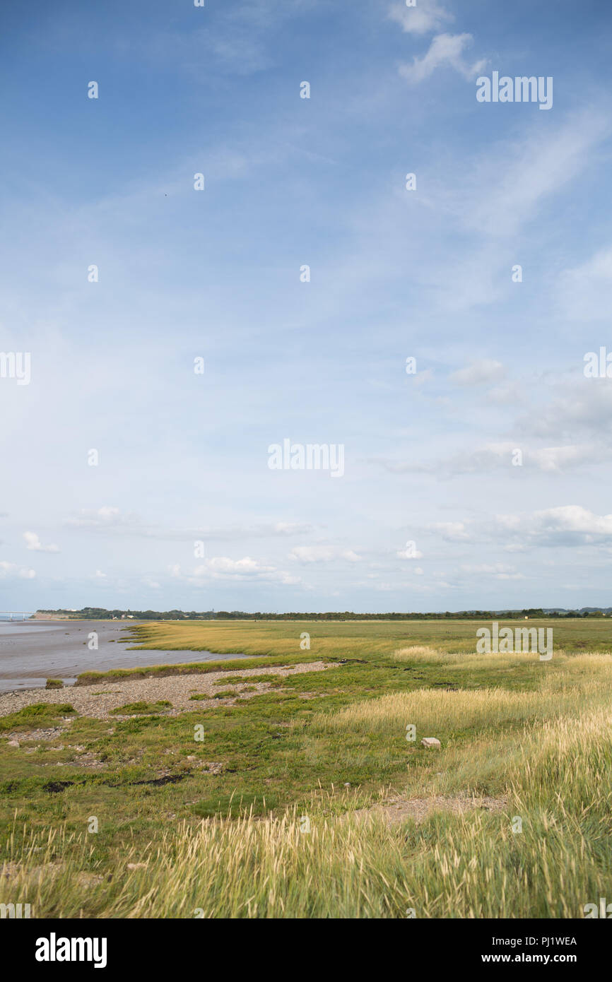 Spalancate le paludi/ zone umide lungo il fiume Severn Estuary vicino alla vecchia Severn Bridge in Aust, Bristol, Regno Unito Foto Stock