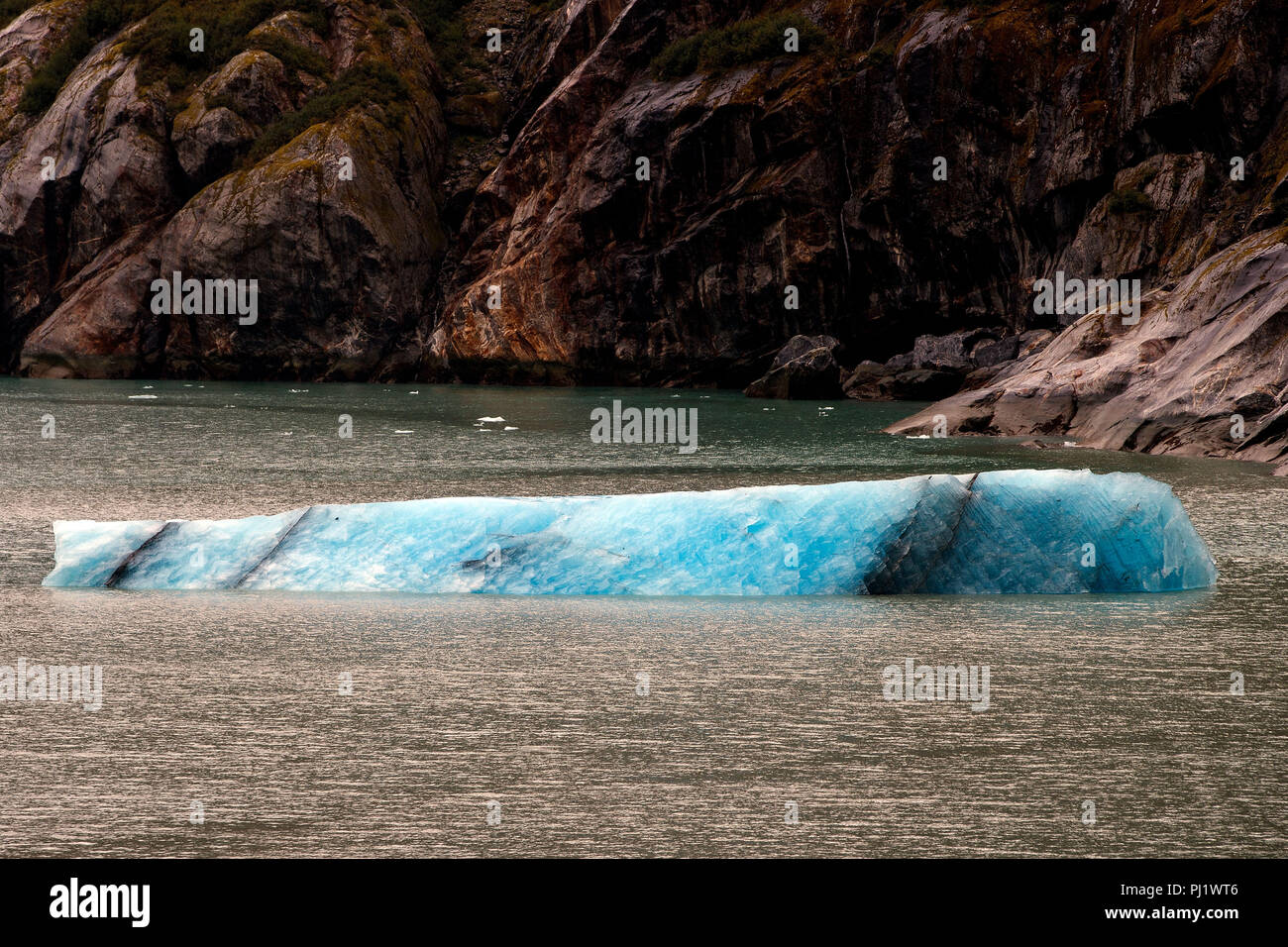 Iceberg, Tracy Arm Fjord, Tracy Arm-Fords terrore deserto, Alaska, Stati Uniti d'America Foto Stock