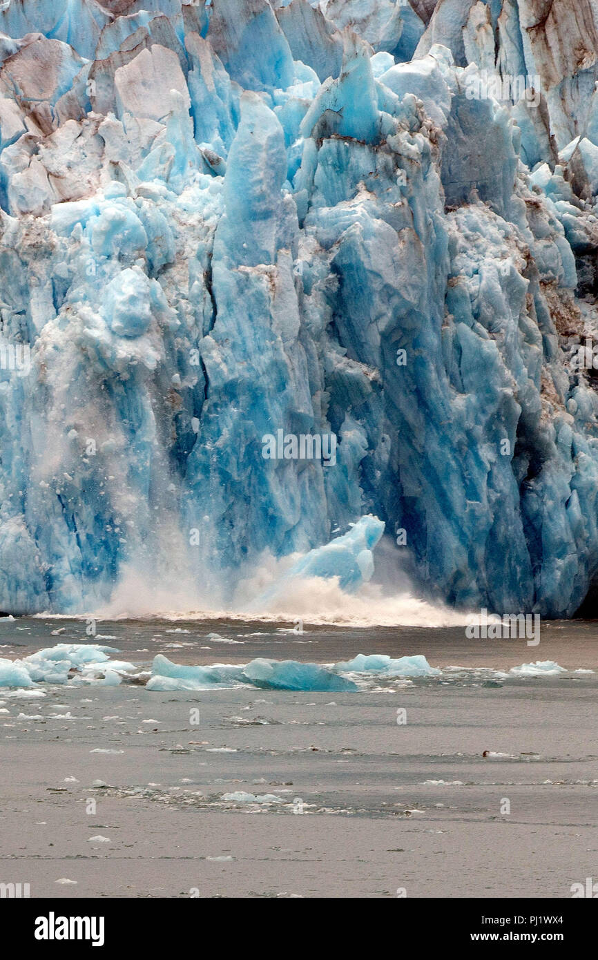 Il parto di ghiaccio, Seward ghiacciaio, Tracy Arm Fjord, Tracy Arm-Fords terrore deserto, Alaska passaggio interno, Alaska, Stati Uniti d'America Foto Stock