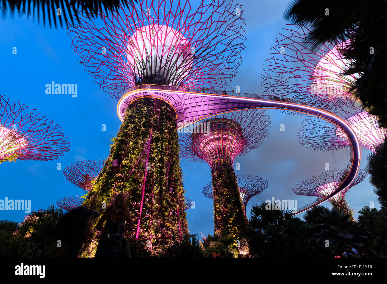 Singapore - Luglio 14, 2018: La Supertrees presso i giardini dalla Baia di Singapore Foto Stock