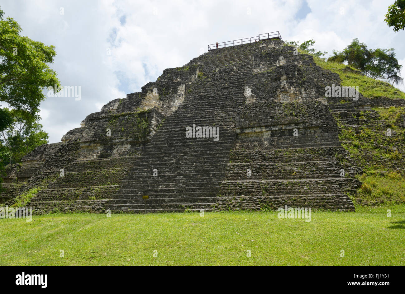 Gran Pyramide, grande piramide, Tikal, Guatemala, rovine Maya, la struttura principale nel mondo perduto complesso Foto Stock