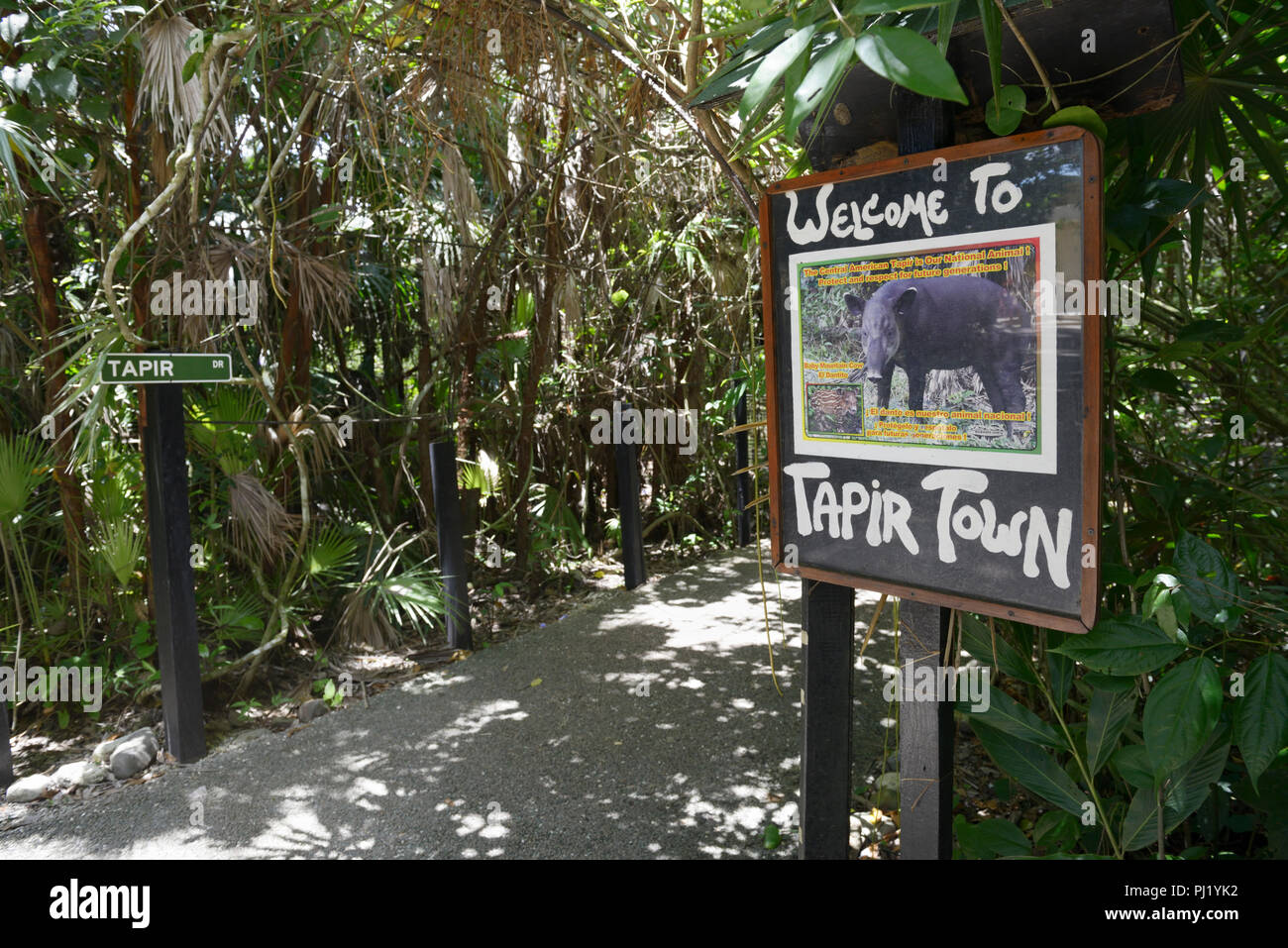 Belize Zoo, il tapiro area cittadina Foto Stock