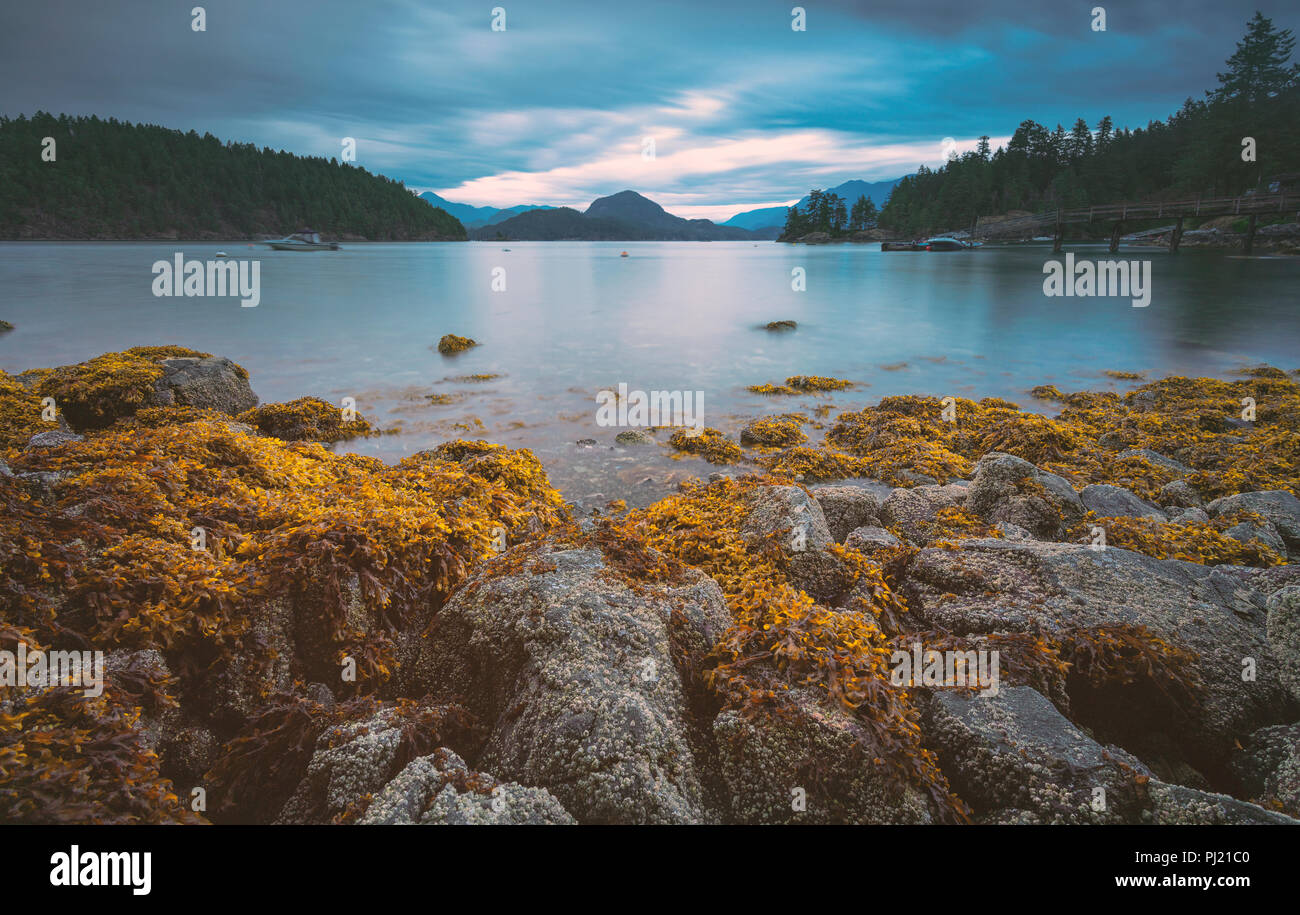 I bellissimi paesaggi di Bowen Isola nel Pacifico nord-ovest lungo le coste di Vancouver, con paesaggi marini, autunno cadono e vista sulla foresta. Foto Stock