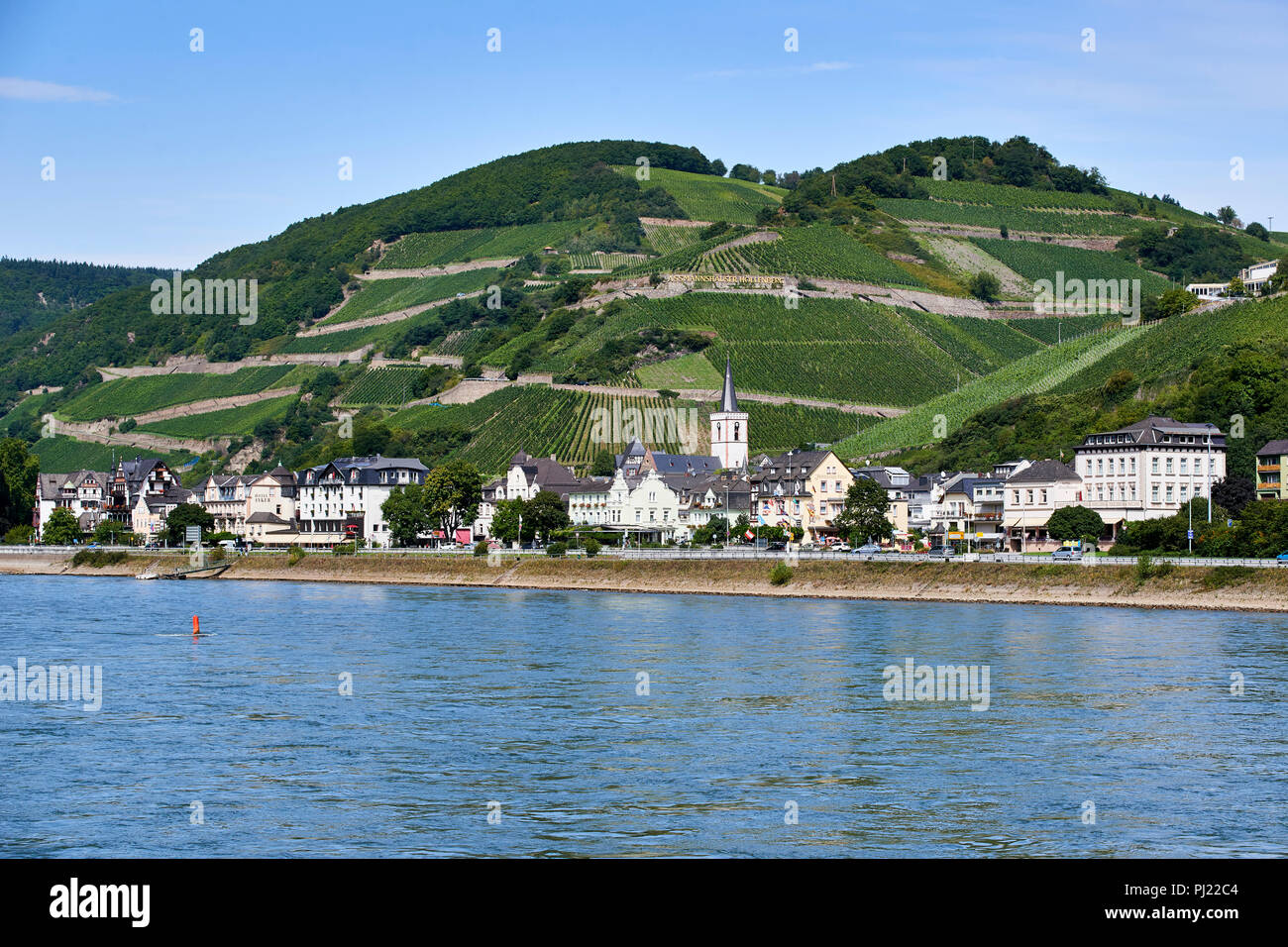 Assmannhausen villaggio sul fiume Reno con coltivazione vigneti sulle colline intorno a (Assmannhäuser Höllenberg) Foto Stock