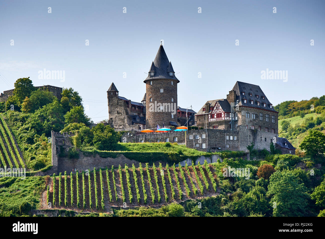 Burg Stahleck a Bacharach villaggio sul fiume Reno, del XII secolo il castello fortificato, Coltivazione vigneti sui versanti circostanti Foto Stock