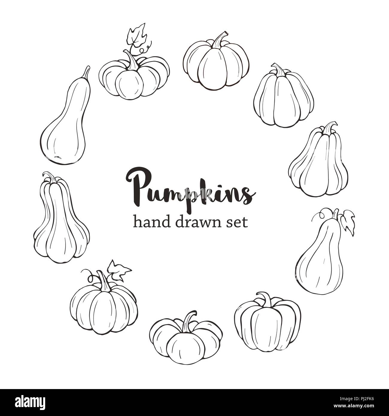 Line art zucche Illustrazione Vettoriale