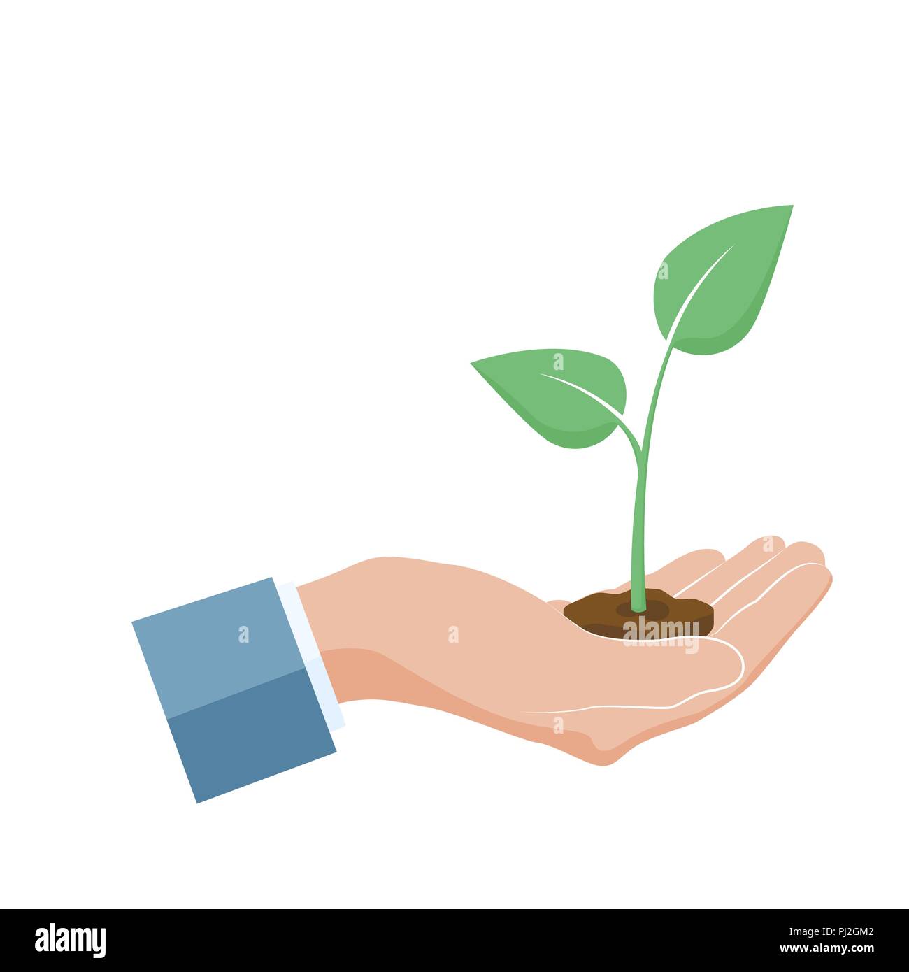 Pianta coltivata in mano. Germoglio verde crescere in Palm. Concetto di cura e di sicurezza. Illustrazione Vettoriale Illustrazione Vettoriale