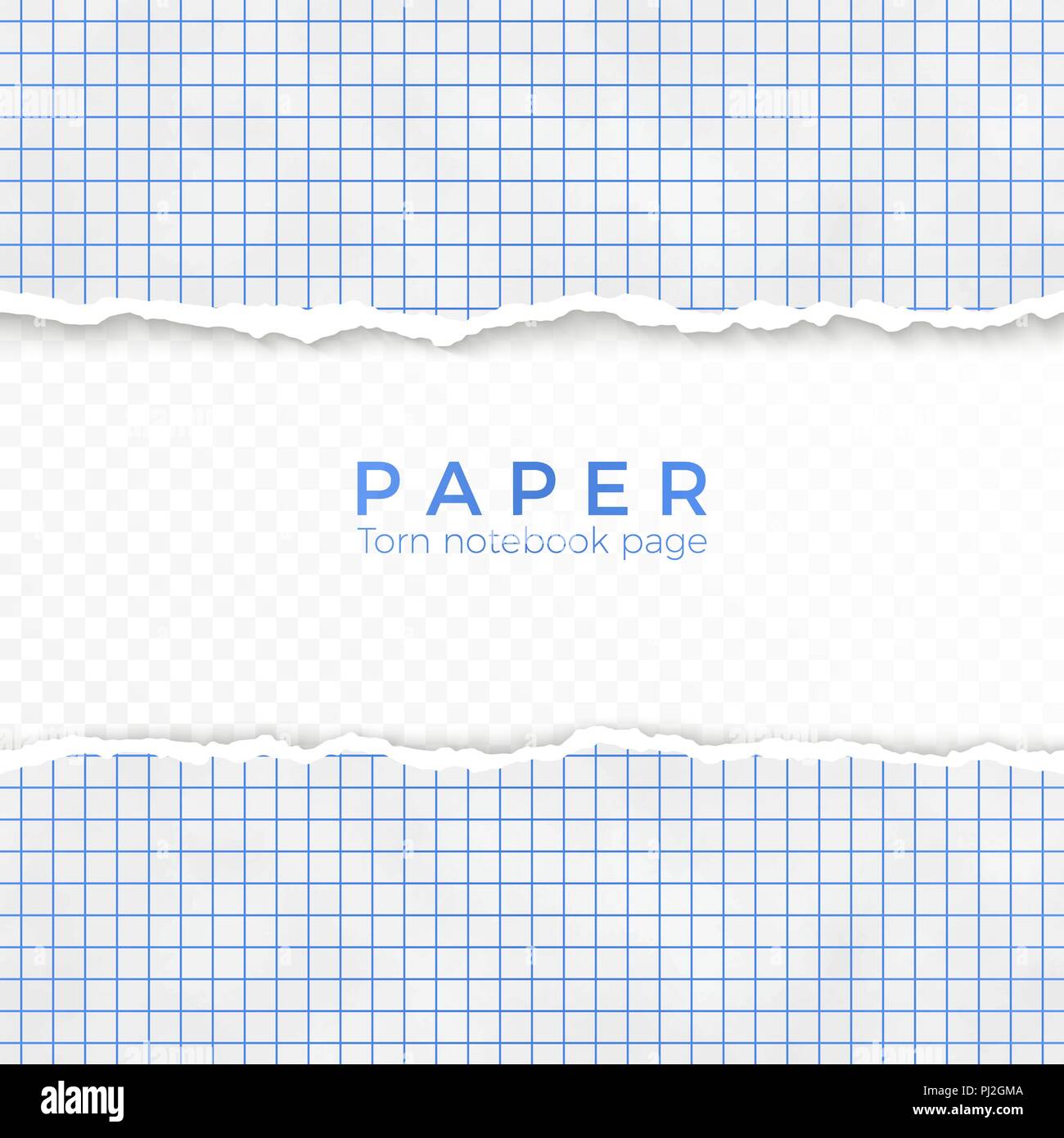Bordo strappato di blu carta quadrettata. Frammenti di carta quadrettata da notebook. Pagina vuota isolata su sfondo trasparente. Illustrazione Vettoriale Illustrazione Vettoriale