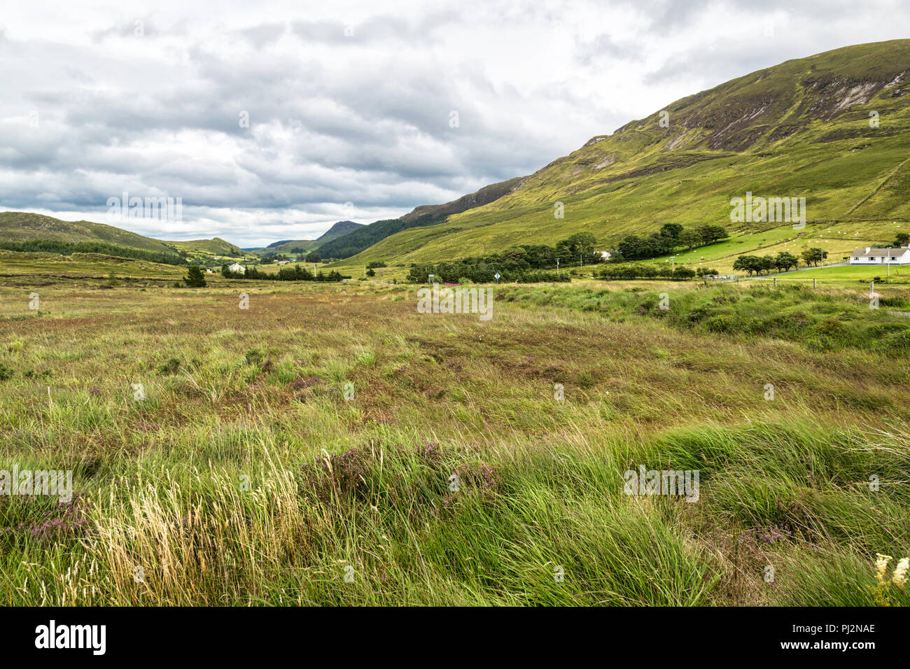 Questa è una foto di un prato in una vallata nel Donegal Irlanda Foto Stock