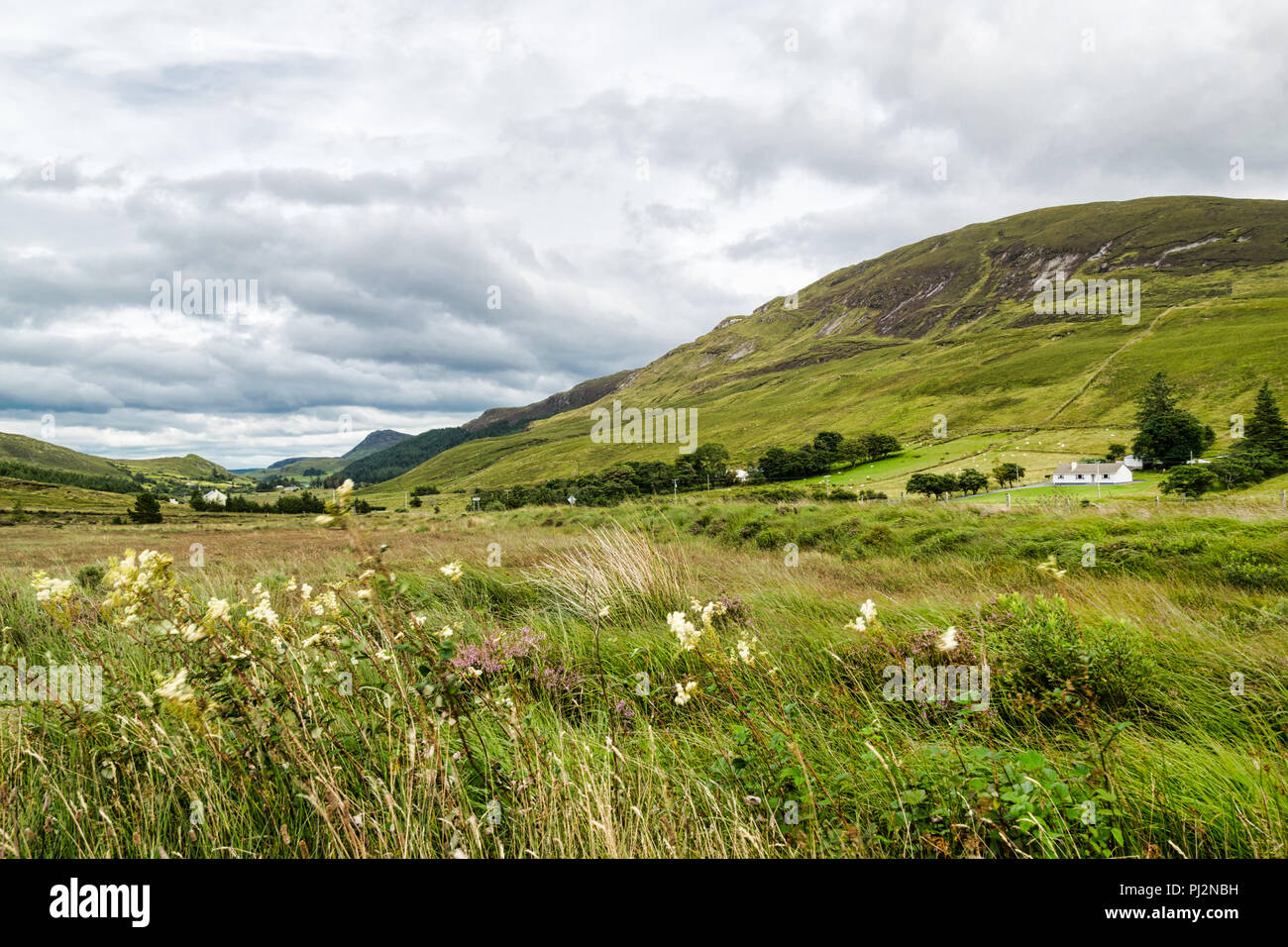 Questa è una foto di un prato in una vallata nel Donegal Irlanda Foto Stock