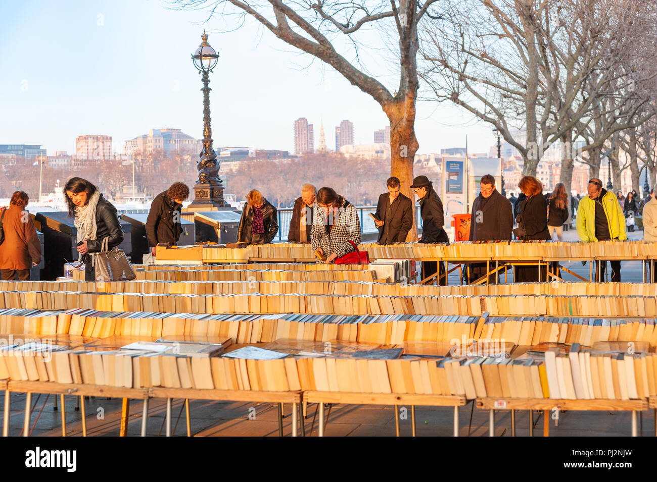 Il mercato del libro di Southbank sotto Waterloo Bridge, Londra, Regno Unito Foto Stock