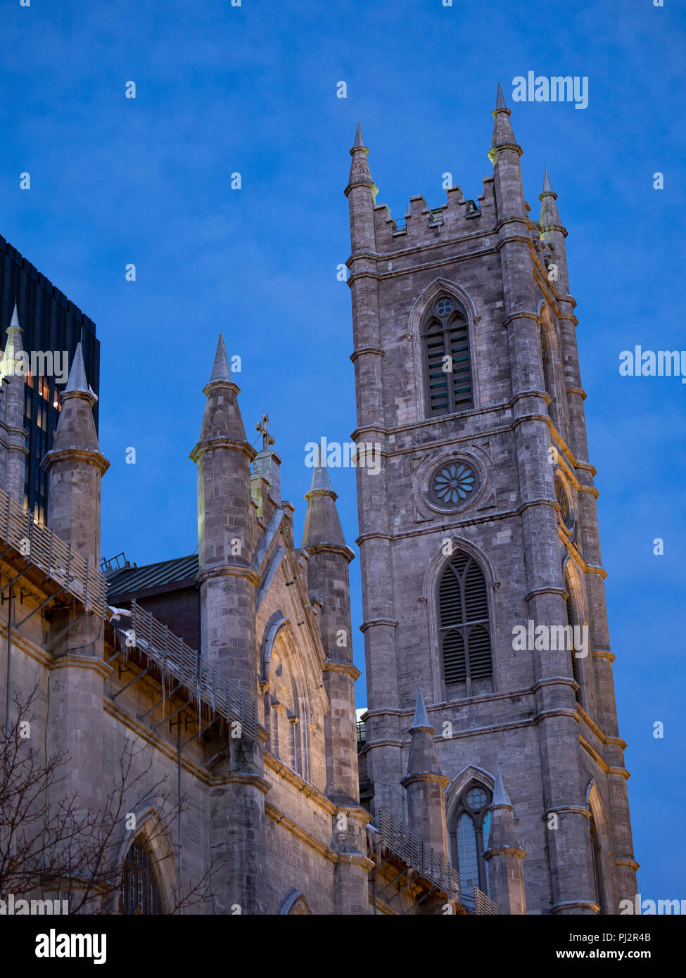 Il blocco di pietra esterno della Basilica di Notre Dame a Montreal, Quebec, Canada fotografato a luce blu dal di sotto. Foto Stock