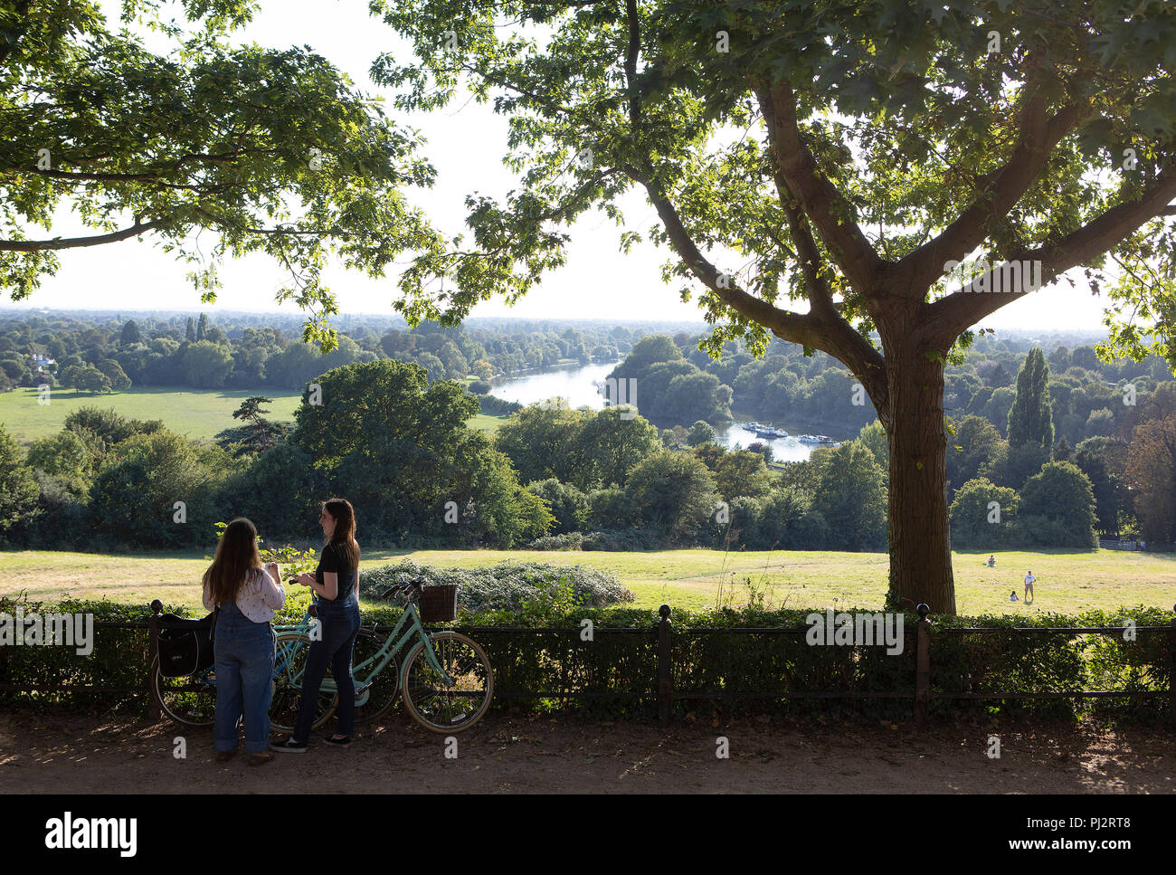 La vista dalla terrazza a piedi su Richmond Hill,Richmond,Surrey Foto Stock