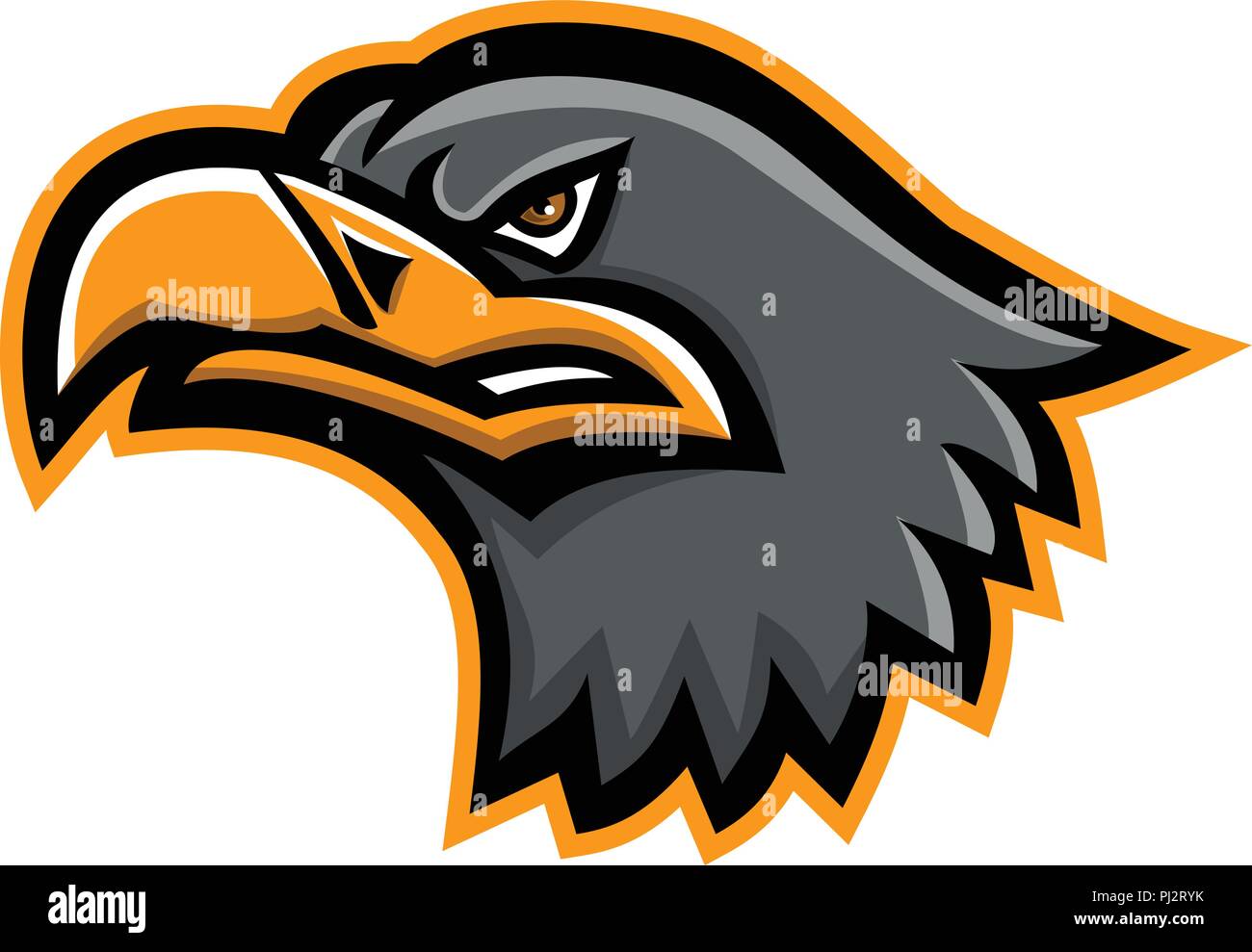 Icona di mascotte illustrazione della testa di un mare eurasiatica eagle, noto anche come grigio sea eagle,bianco-tailed eagle,ern o erne visto dal lato sul retro isolato Illustrazione Vettoriale