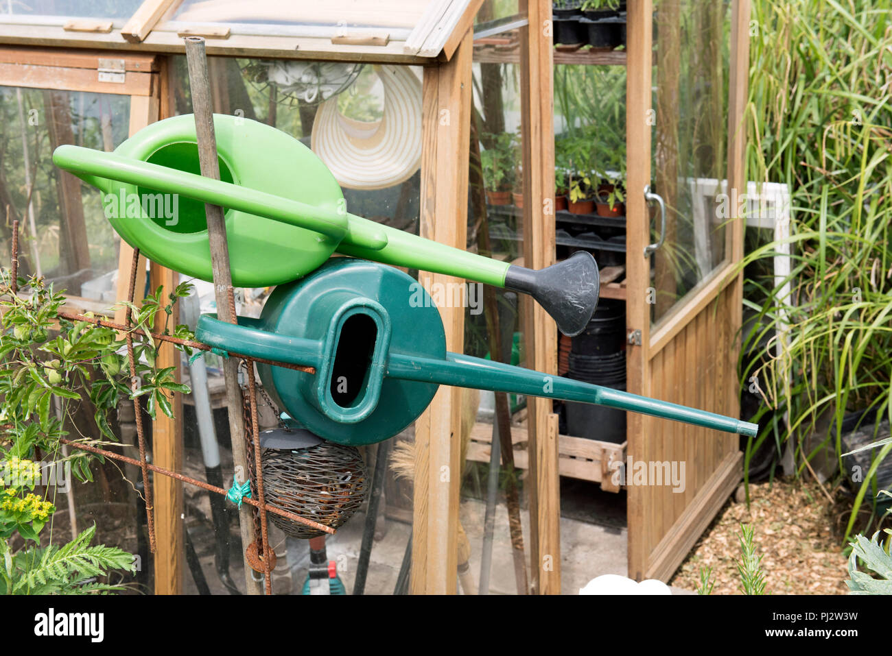 Due di plastica verde innaffiatoi, Fulham Palace assegnazioni, Londra. Foto Stock