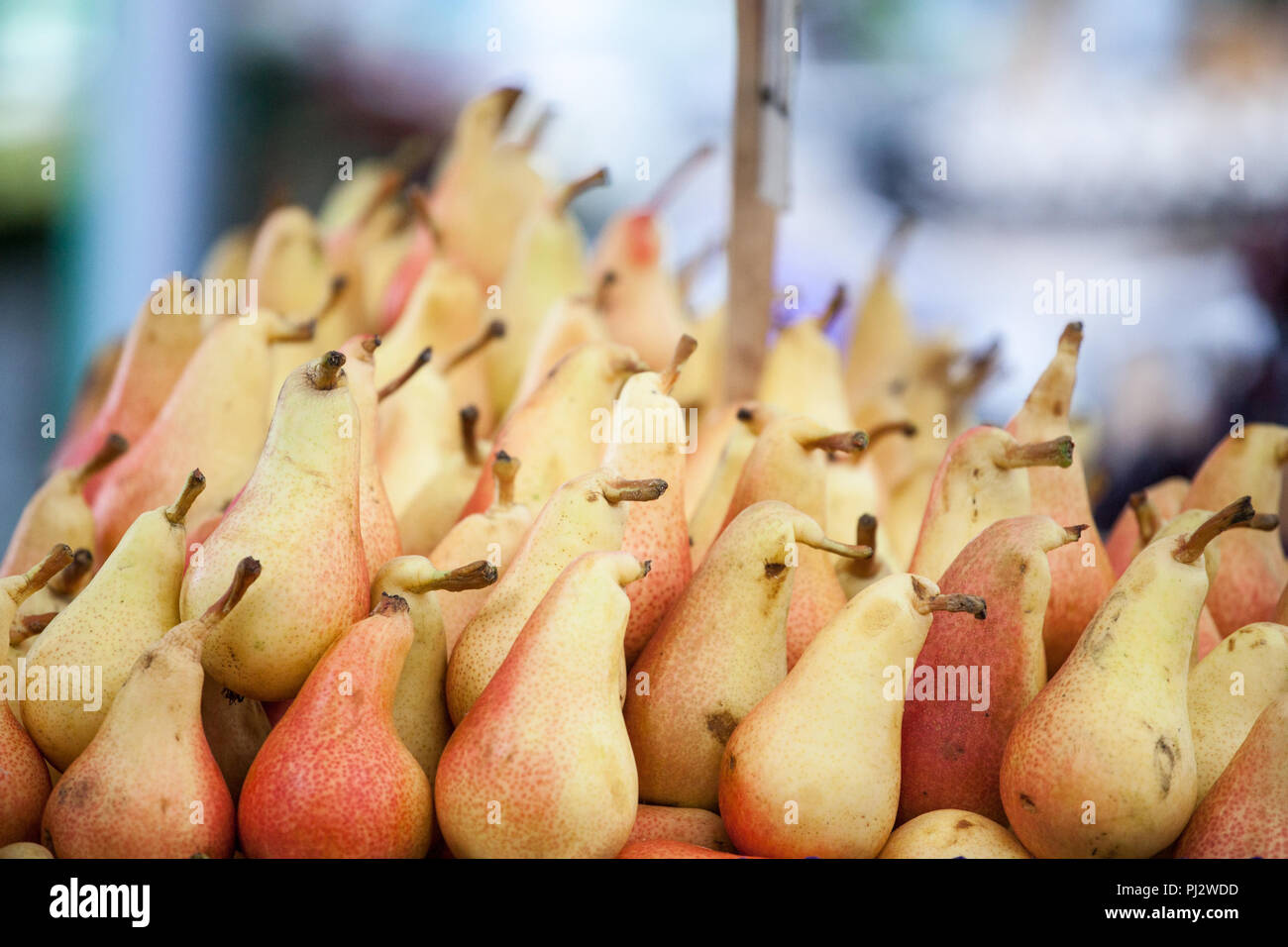 Unione di pere, giallo e rosso, per la vendita su un mercato a Belgrado in Serbia. Noto anche come Pyrus Communis, o la pera comune, è un tradizionale frutto per Foto Stock