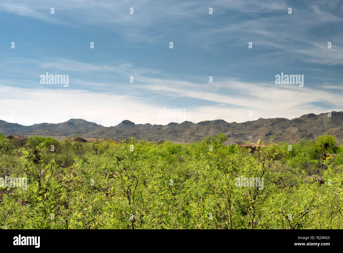 Affacciato su una valle verde con alberi e cespugli sotto il cielo blu. Foto Stock