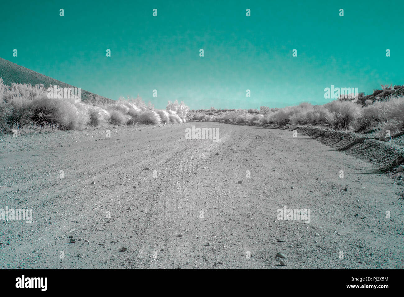 Una solitaria lungo strade sterrate corre nel deserto sotto una luce blu del cielo. Foto Stock