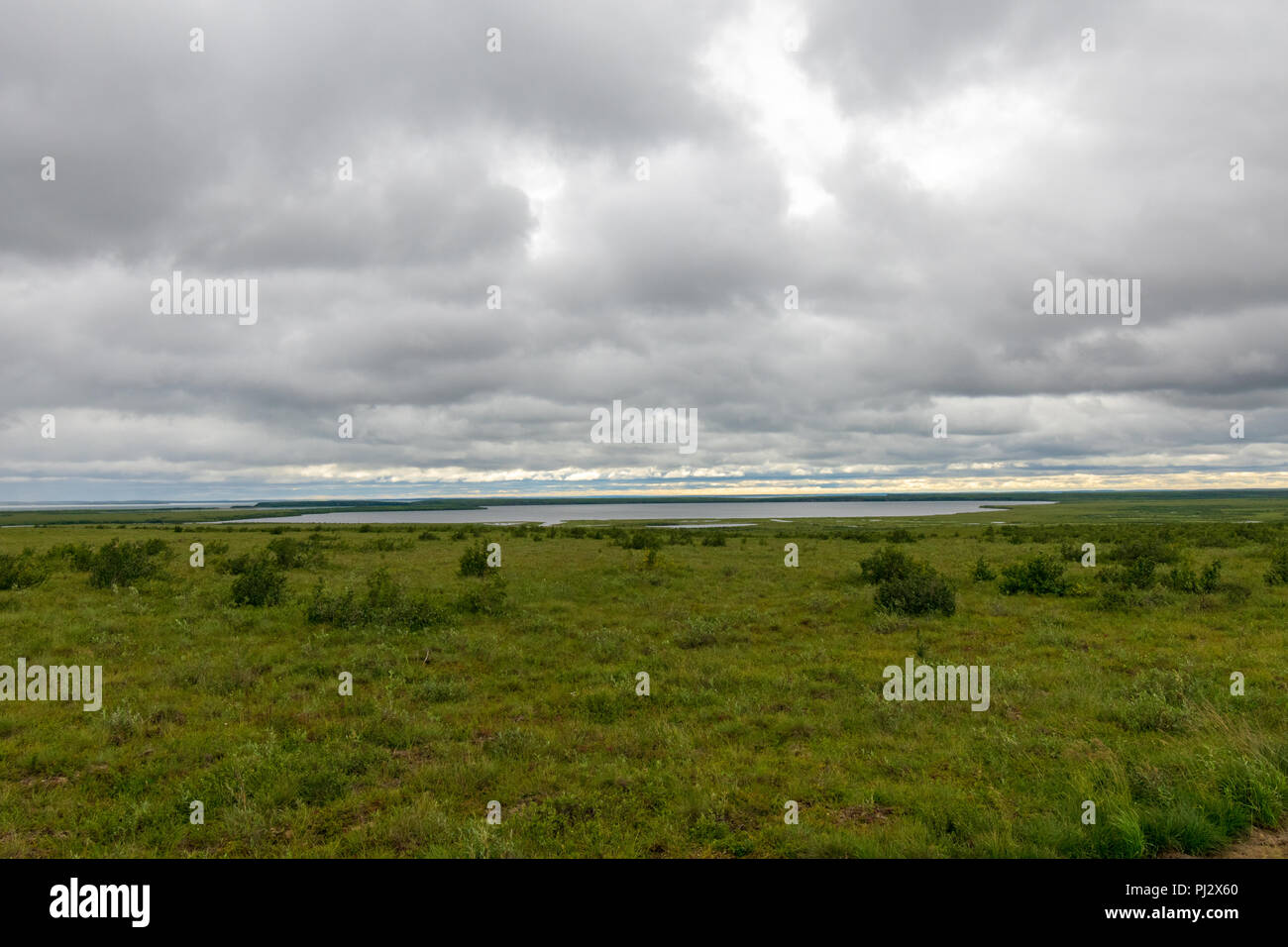 L'Artico come visto dalla valle di Mackenzie Autostrada da Inuvik di Tuktoyaktuk Foto Stock