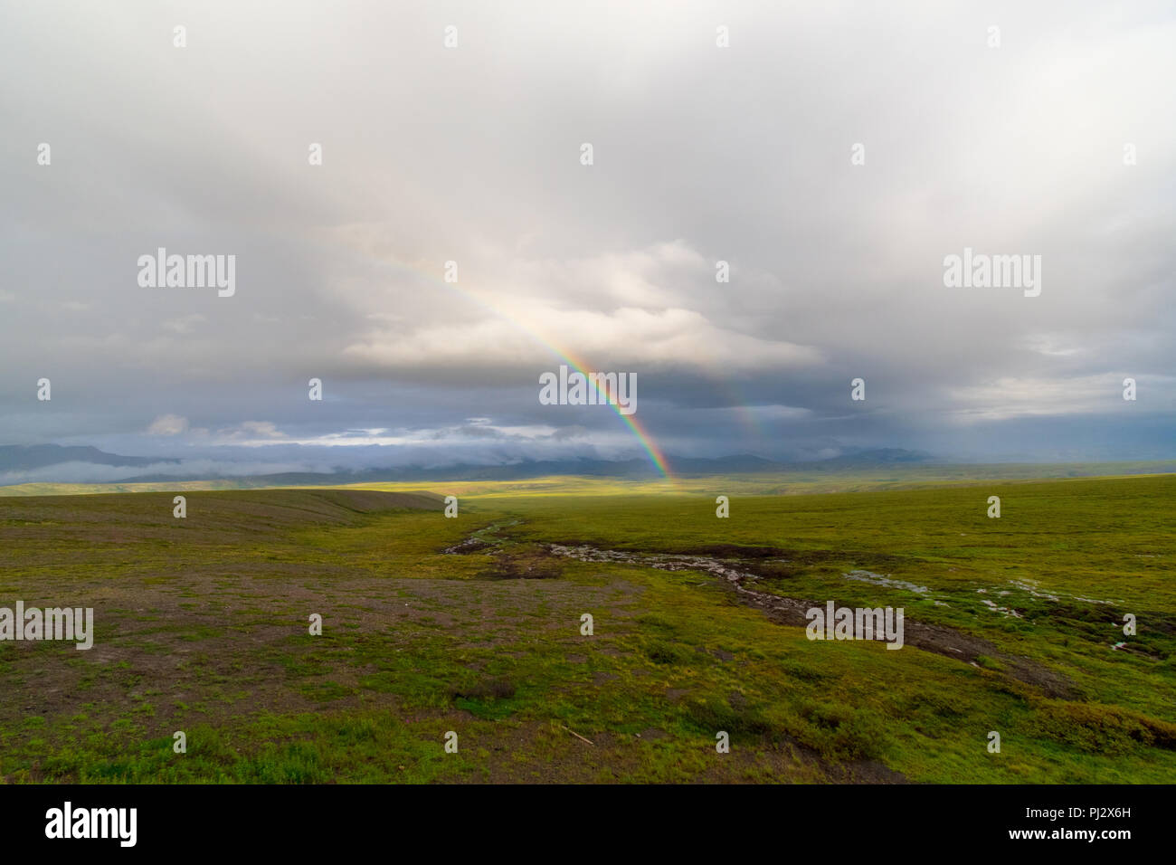 Un bellissimo arcobaleno artico oltre i territori del nord-ovest la tundra Foto Stock