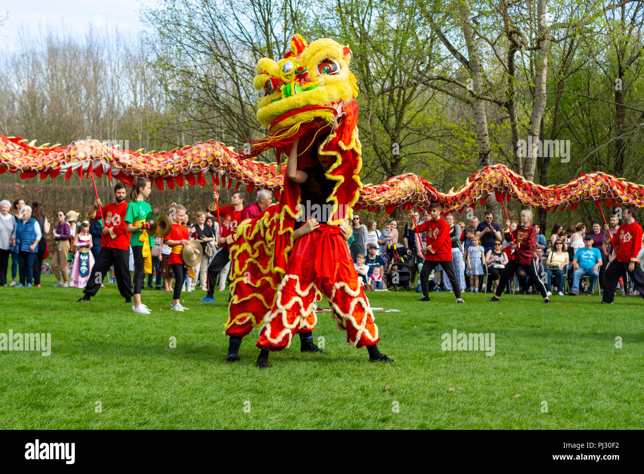 Berlino - Aprile 15, 2018: Sakura fioritura giorno. Parco 'giardini del mondo' (Gaerten der Welt). Dragon dance. Arte Cinese tradizionale. Foto Stock