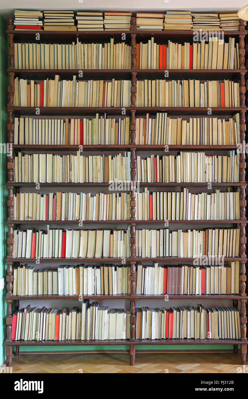 Libri a grande scaffale di legno nella libreria di casa Foto stock