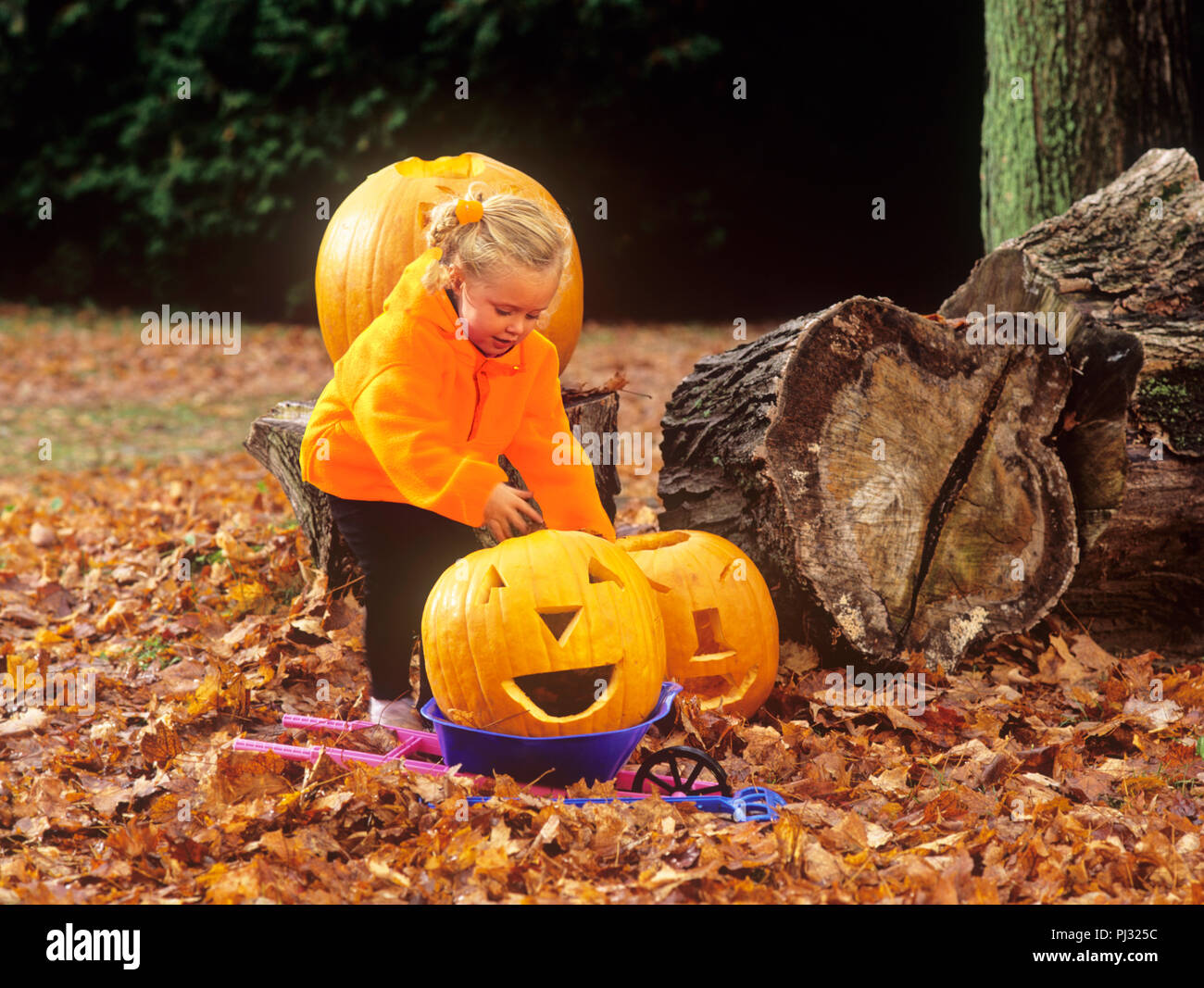 Bambino caucasico giocando con zucche all'aperto Foto Stock