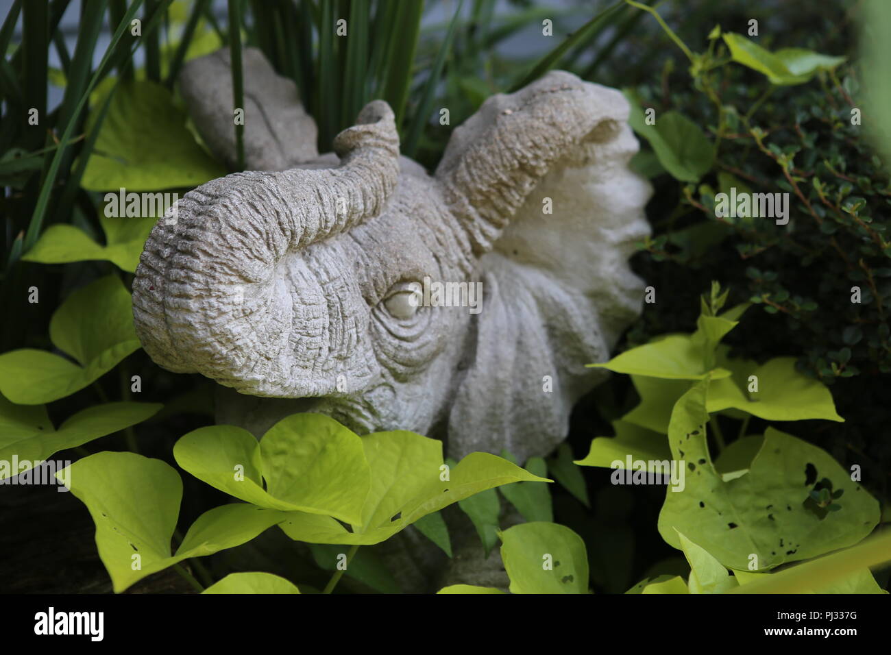 Statua di pietra di un elefante nel giardino esterno Foto Stock